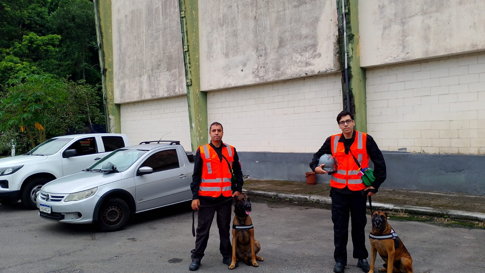 Aluguel De Cão De Guarda Em Cubatão