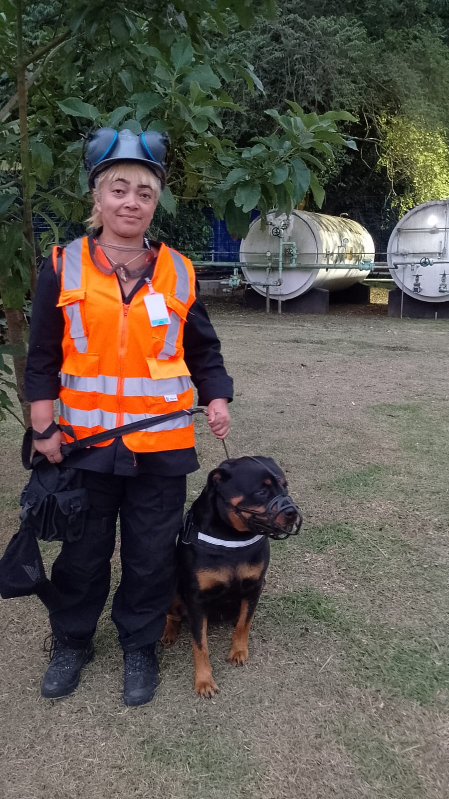 Aluguel De Cão Em Cubatão