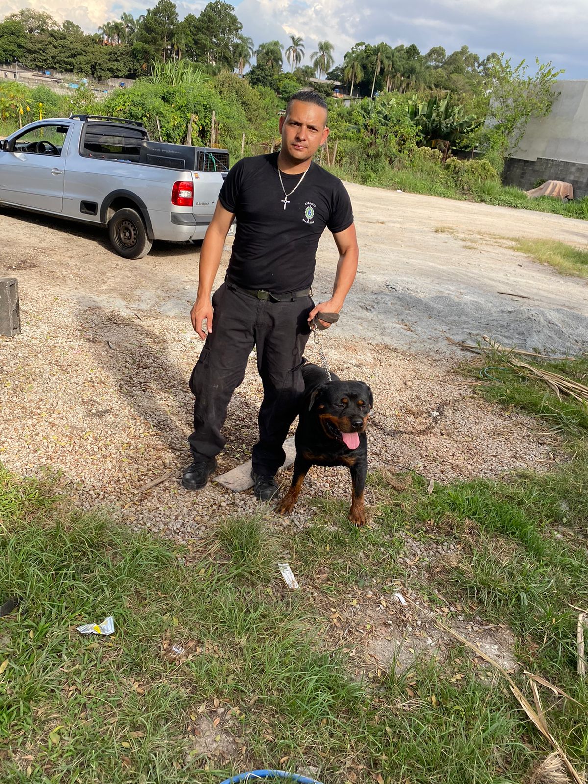 Locação De Cachorro Em Cubatão
