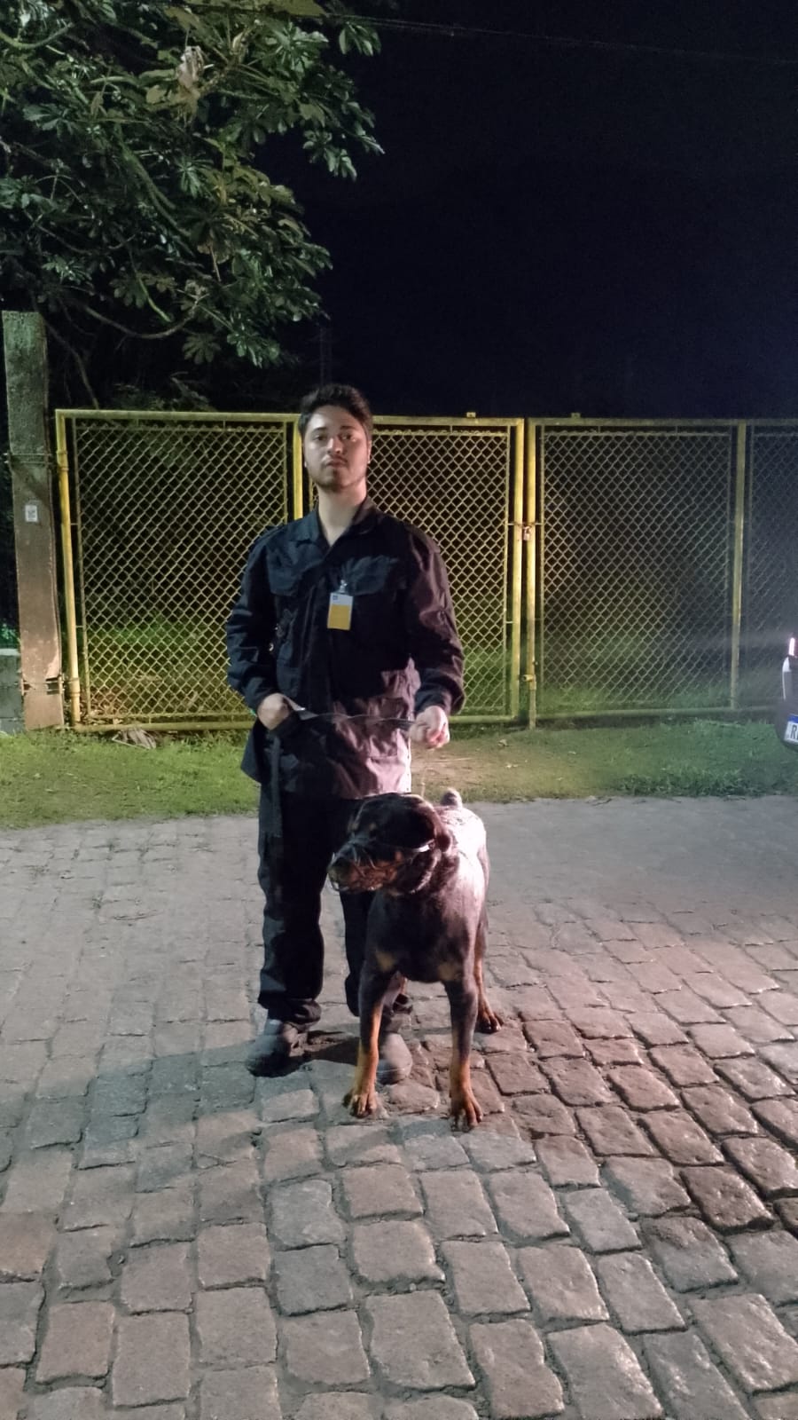 Locação De Cachorro Em Jundiaí