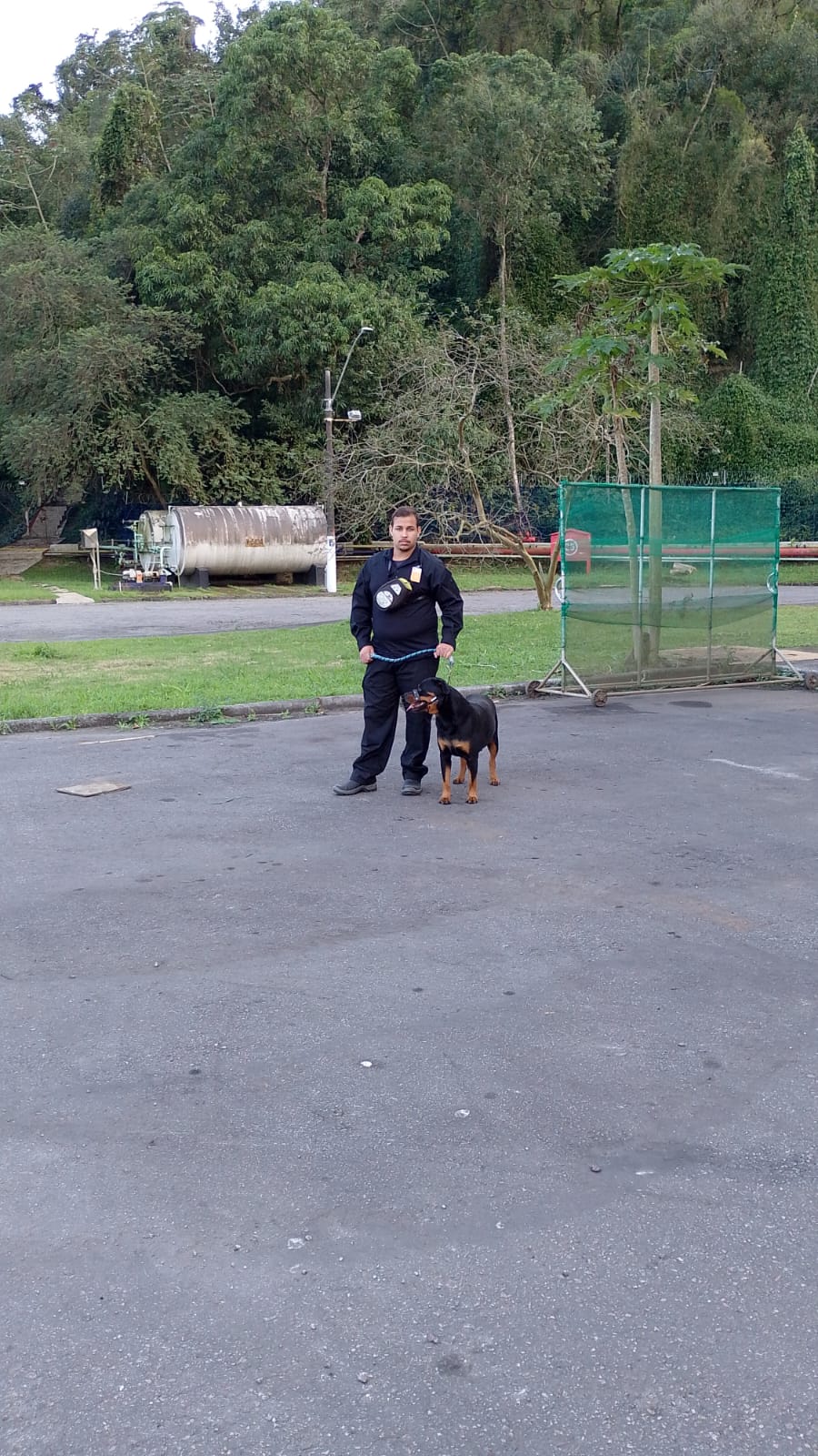 Locação De Cachorro Na Zona Norte