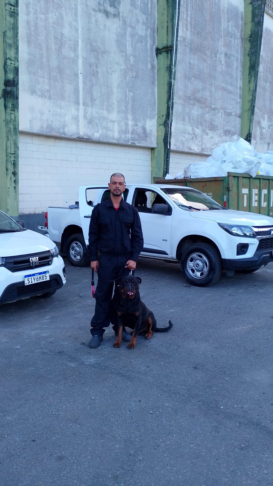 Locação De Cachorro Na Zona Oeste
