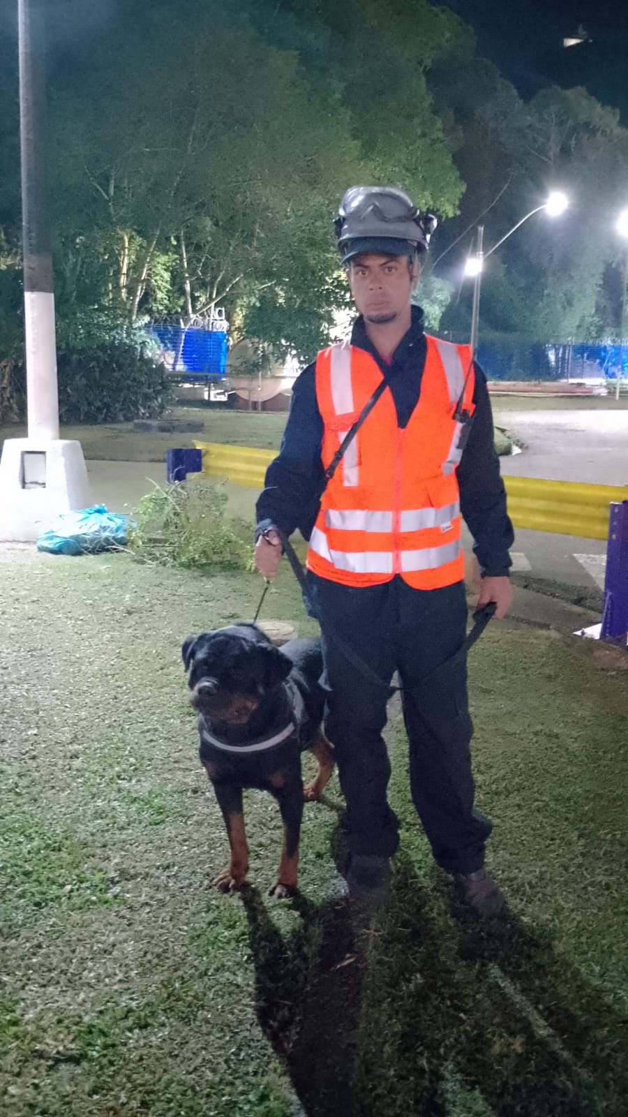 Locação De Cães Em SP