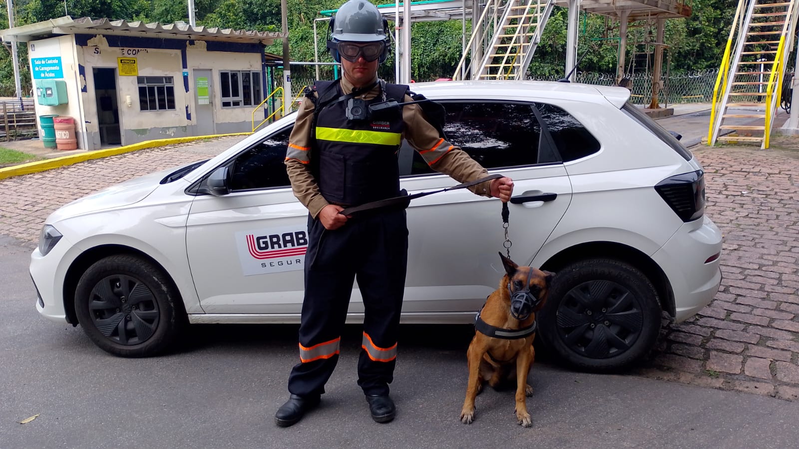 Locação De Cães Na Zona Oeste