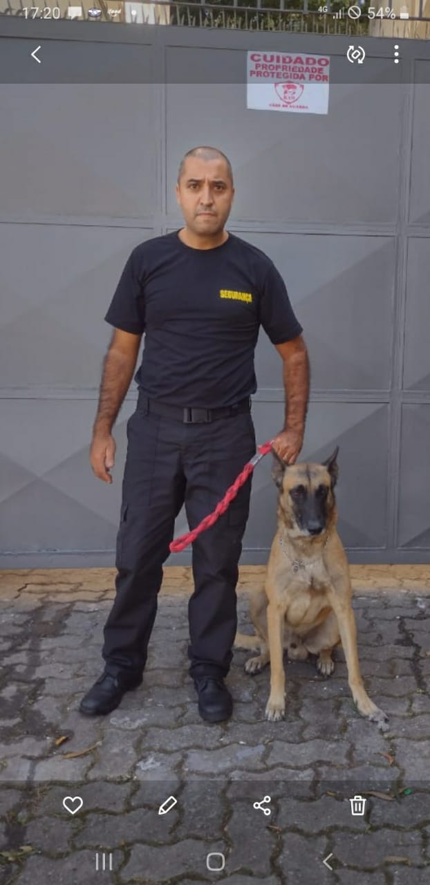 Locação De Cão De Faro