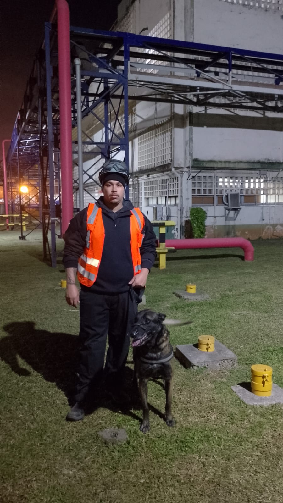 Locação De Cão Em Cubatão